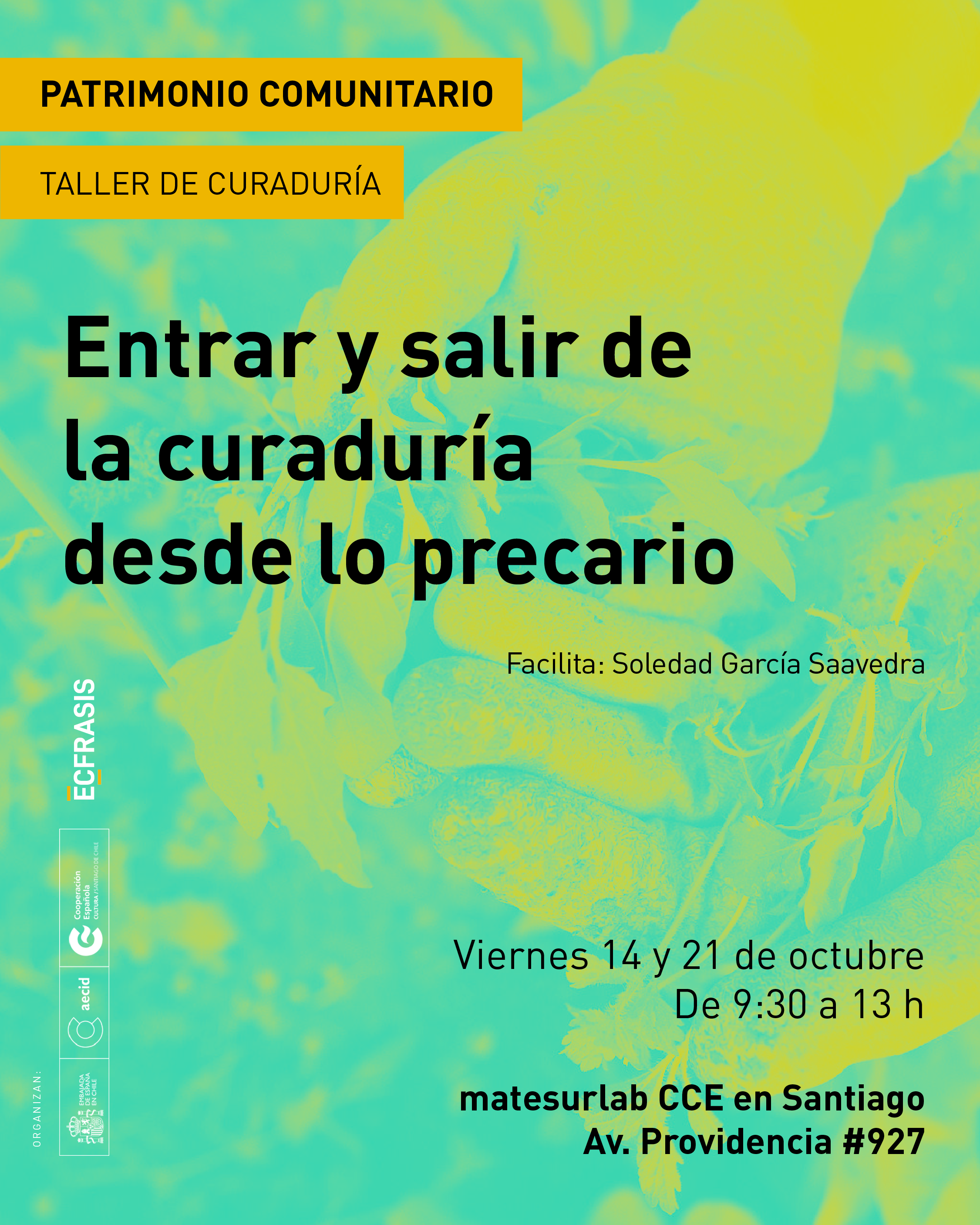 TALLER:Entrar y salir de la curaduría desde lo precario